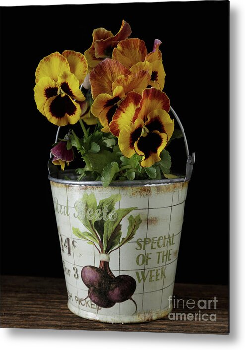 Still Life Metal Print featuring the photograph Spring Pansy Flowers in a Pail by Edward Fielding