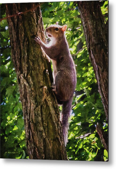 2d Metal Print featuring the digital art Squirrel On Tree - Paint FX by Brian Wallace
