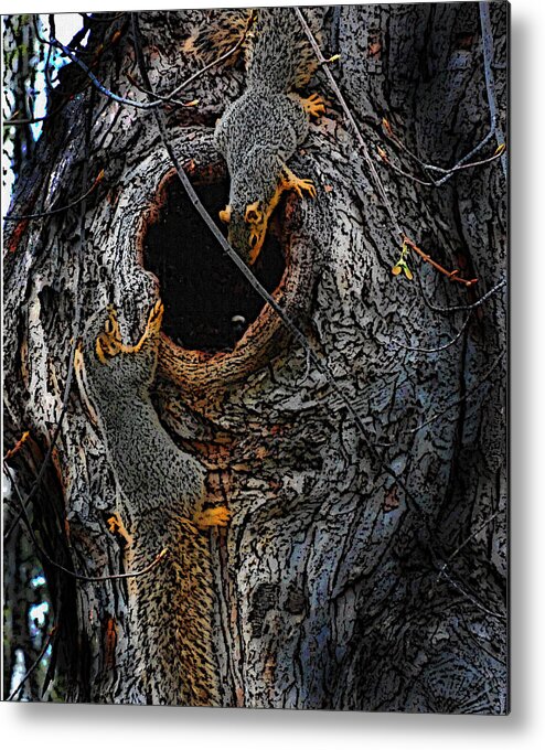 Squirrels Metal Print featuring the digital art Squirrel Tag by W James Mortensen