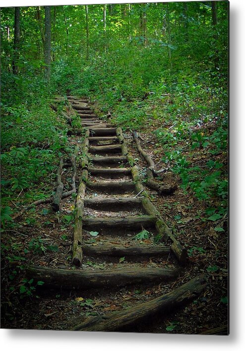 Trails Metal Print featuring the photograph Stairway at Unicoi Gap on the AT by Richie Parks