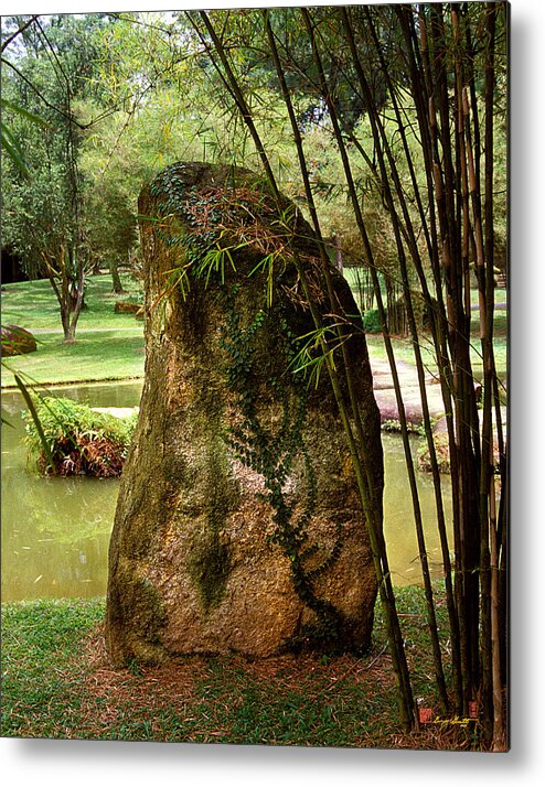 Standing Stone Metal Print featuring the photograph Standing Stone with Fern and Bamboo 19A by Gerry Gantt