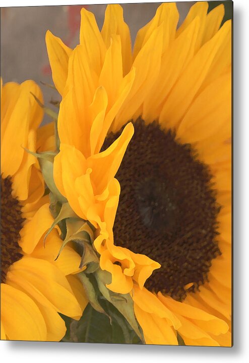 Flower Metal Print featuring the digital art Sun Flower by Jana Russon