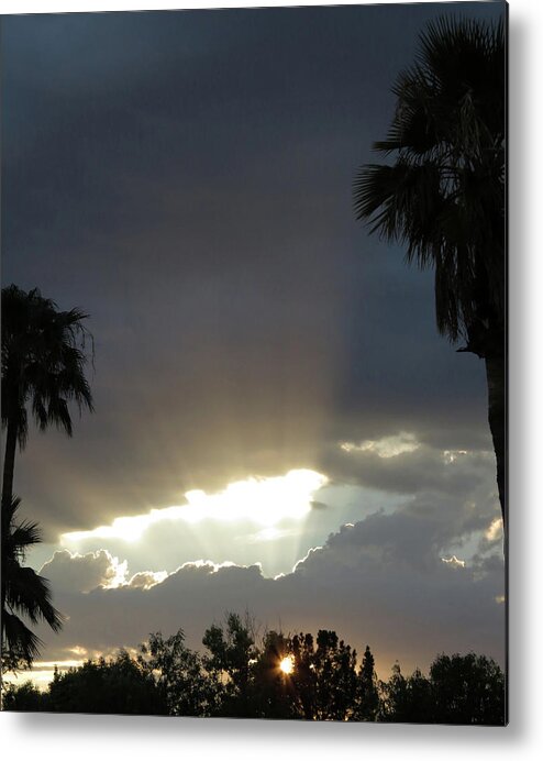 Summer Metal Print featuring the photograph Sunbeams by Laurel Powell