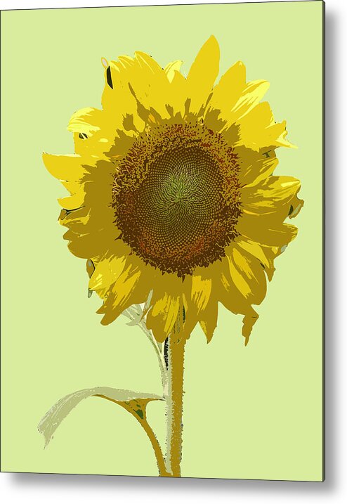 Sunflowers Metal Print featuring the digital art Sunflower by Karen Nicholson