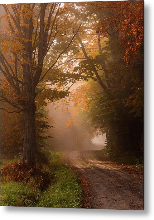 Foliage Metal Print featuring the photograph Serenity of Fall by Tim Kirchoff