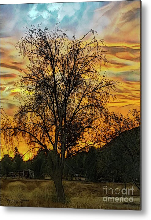 Photograph Shot Metal Print featuring the digital art Sunset in Perris by Rhonda Strickland
