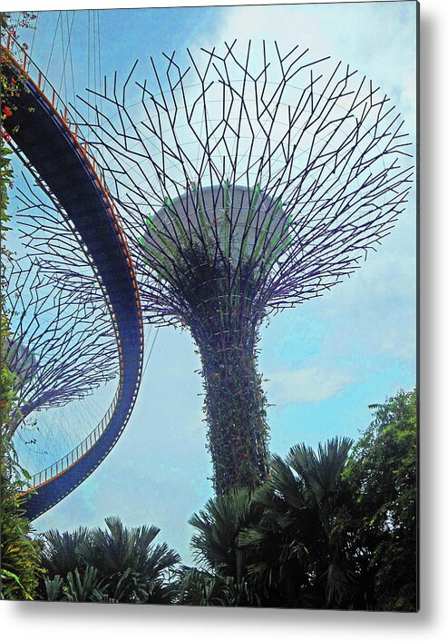 Gardens By The Bay Metal Print featuring the photograph Super Trees 17 by Ron Kandt