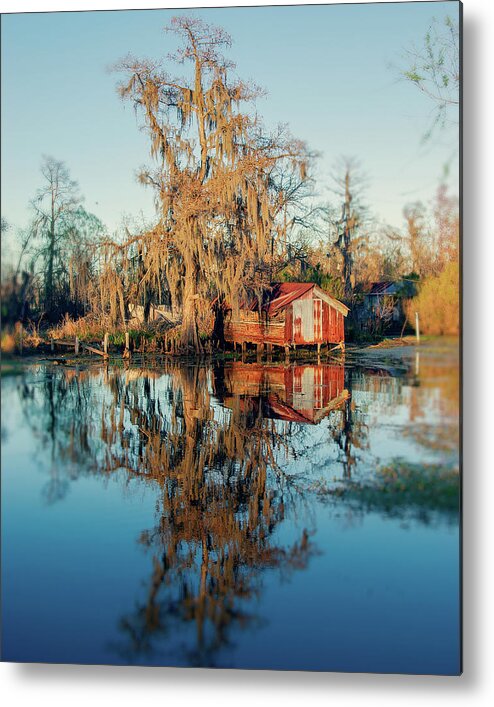Bald Metal Print featuring the photograph Swamp Reflections by Ray Devlin