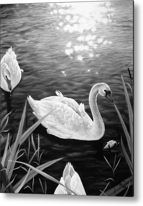 Swans Metal Print featuring the painting Swan 3 by Matthew Martelli