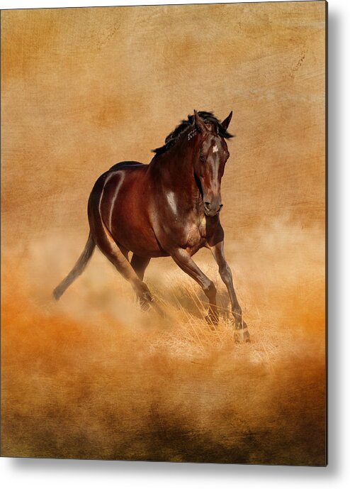 Horse Metal Print featuring the photograph Sweet Serenity by Michelle Wrighton