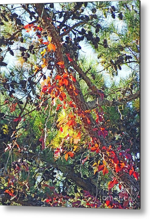 Trees Metal Print featuring the photograph Tanglewood Autumn Flora by Lizi Beard-Ward