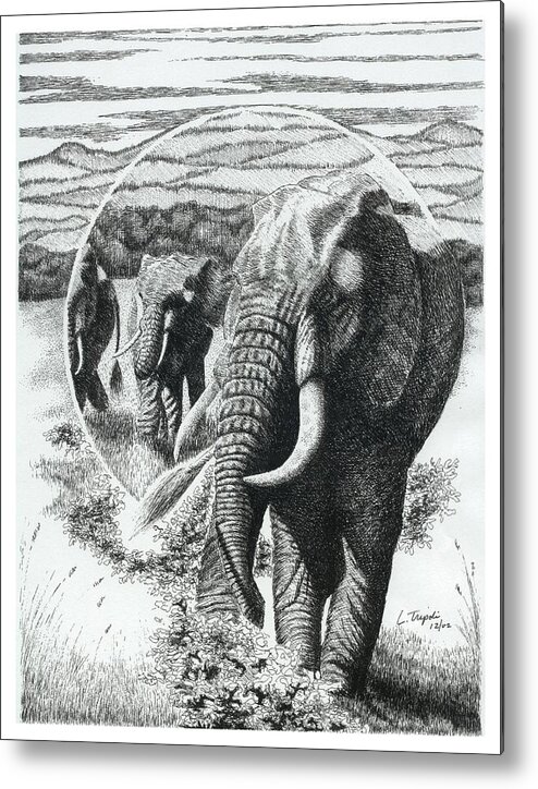 Wildlife Metal Print featuring the drawing Telephoto by Lawrence Tripoli
