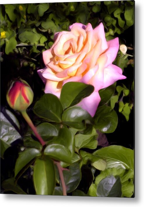 Rose Classic Oil Painting Metal Print featuring the painting The Beauty of Peace by Liz Evensen