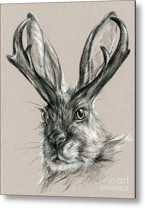 Mythical Creature Metal Print featuring the drawing The Mythical Jackalope by MM Anderson