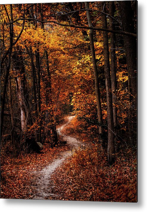 Landscape Metal Print featuring the photograph The Narrow Path by Scott Norris