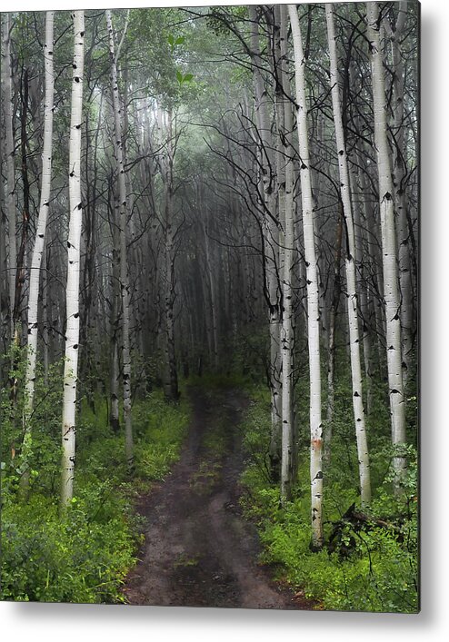 Nature Metal Print featuring the photograph The Portal by Scott Cordell