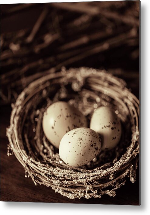 Eggs Metal Print featuring the photograph Three Eggs in a Nest by Rebecca Cozart