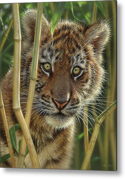 Tiger Art Metal Print featuring the painting Tiger Cub - Discovery by Collin Bogle