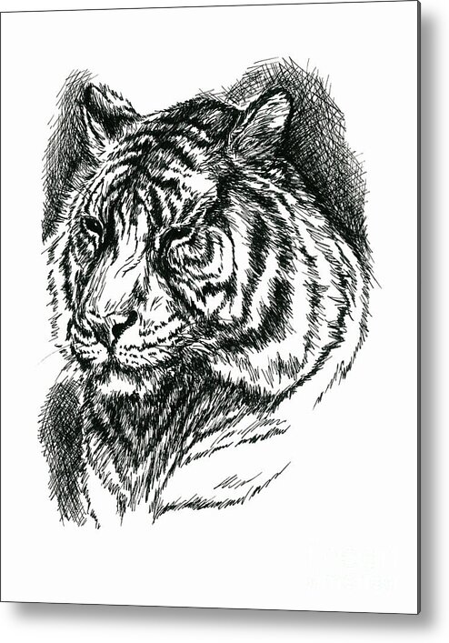 Animal Metal Print featuring the drawing Tiger Portrait in Ink by MM Anderson