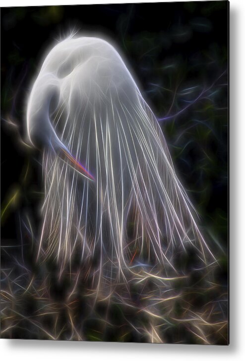 Nature Metal Print featuring the digital art Time Of Life by William Horden