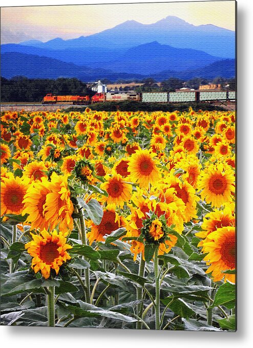 Freight Train Metal Print featuring the digital art Freight Train thru the Sunflowers by W James Mortensen