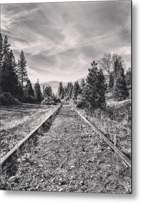 Railroad Metal Print featuring the photograph Train tracks by JoAnn Lense