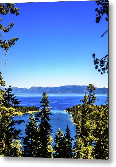 Alcatraz Metal Print featuring the photograph Trough the trees by Camille Lopez