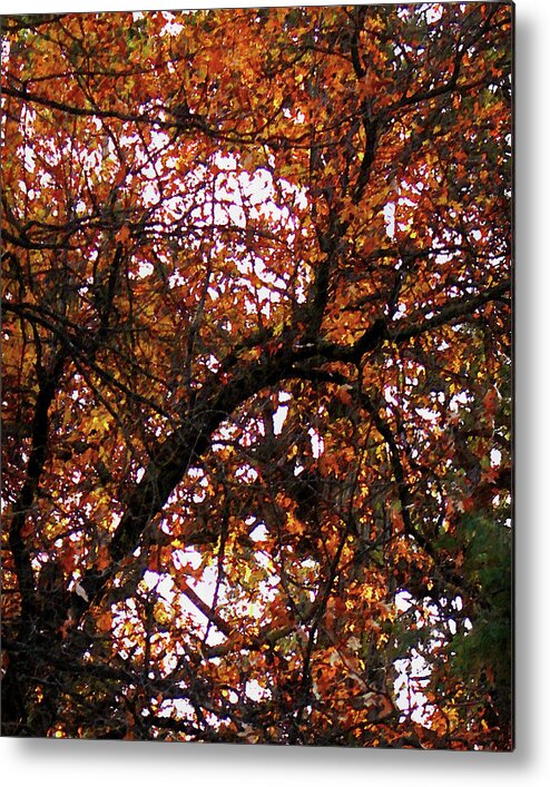 Leaves Metal Print featuring the photograph Unfallen by Timothy Bulone