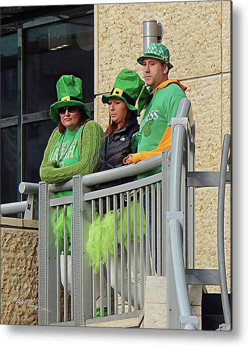 Spring Metal Print featuring the photograph Unhappy Leprechauns by Wild Thing