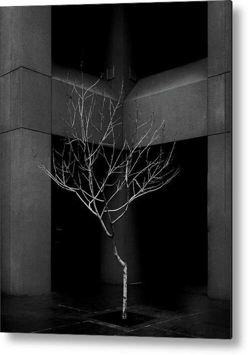 Building Metal Print featuring the photograph Urban Nature in B/W by Joseph Smith