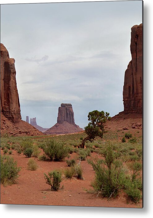 Desert Metal Print featuring the photograph Valley View by Gordon Beck