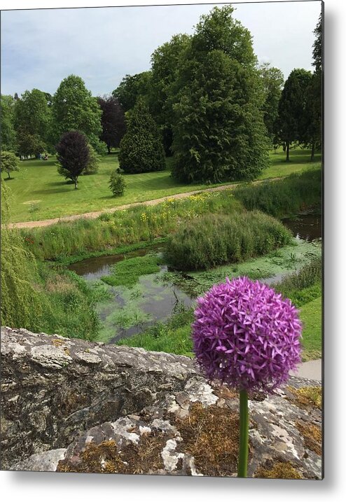 Ireland Metal Print featuring the photograph View from Blarney Castle by Sue Morris
