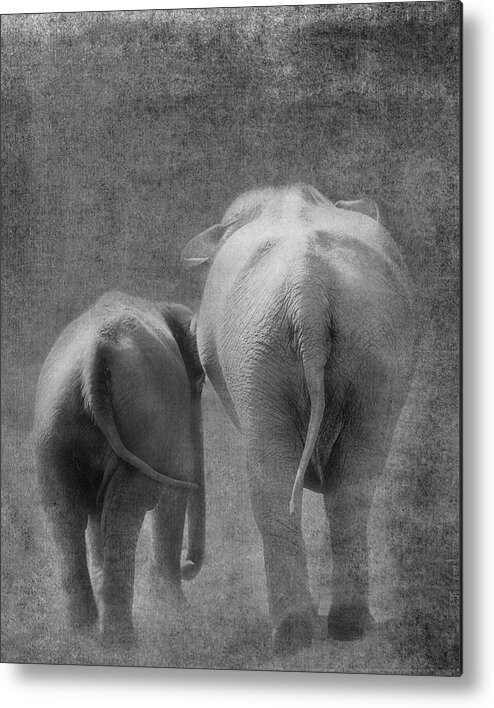 Elephants Metal Print featuring the photograph Walking Together by Rebecca Cozart
