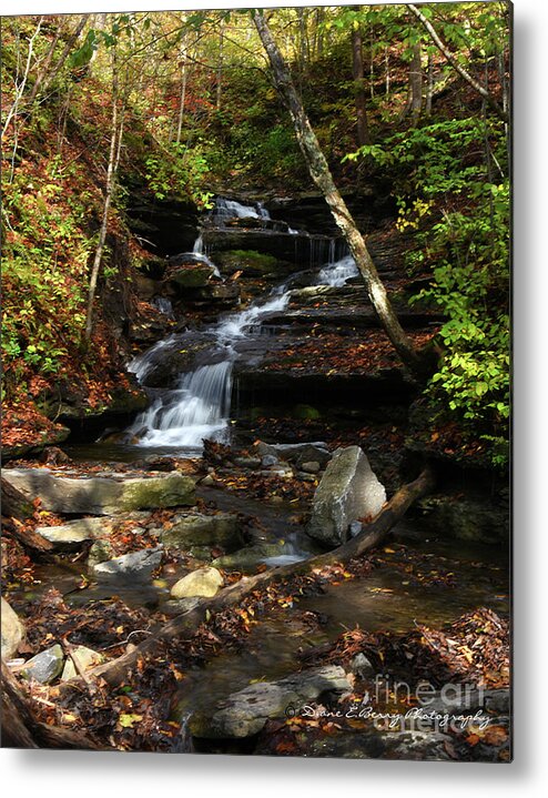 Diane Berry Metal Print featuring the photograph Whisper Falls by Diane E Berry