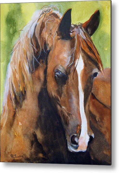 Horse Metal Print featuring the painting White Blaze by Jean Blackmer