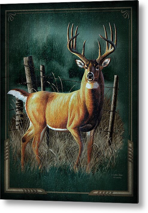 Cynthie Fisher Metal Print featuring the painting Whitetail Deer by JQ Licensing