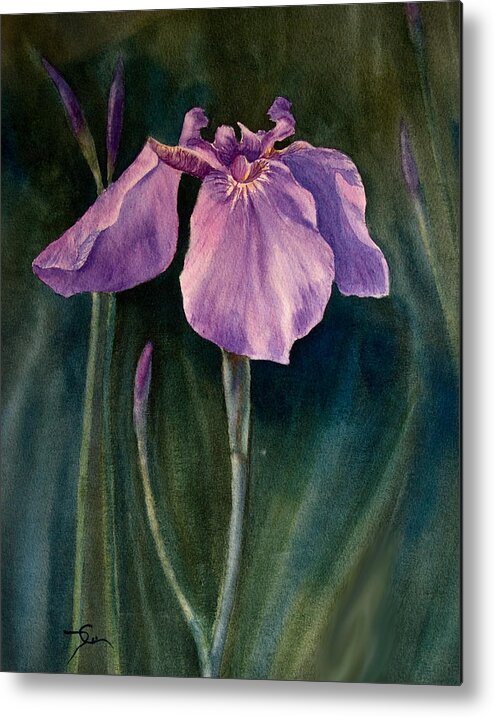 Wild Iris Metal Print featuring the painting Wild Iris 6 by Dee Carpenter