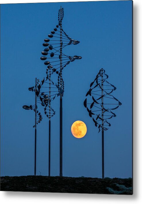 Landscape Metal Print featuring the photograph Wind Sculptures at Wilkeson Pointe by Chris Bordeleau