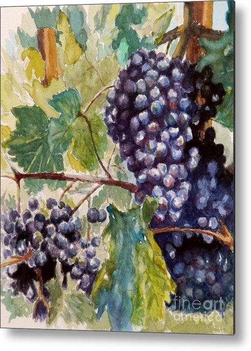 Grapes Metal Print featuring the painting Wine Grapes by William Reed