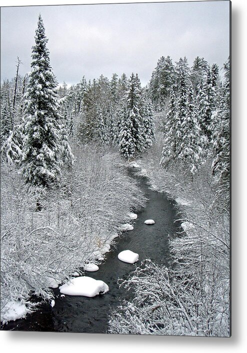 Snow Metal Print featuring the photograph Winter Wonderland by Brook Burling