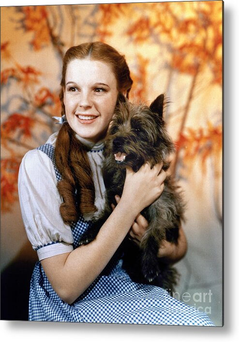 1939 Metal Print featuring the photograph Dorothy, Wizard Of Oz, 1939 by Granger