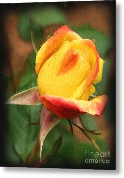 Rose Metal Print featuring the painting Yellow And Orange Rosebud by Smilin Eyes Treasures