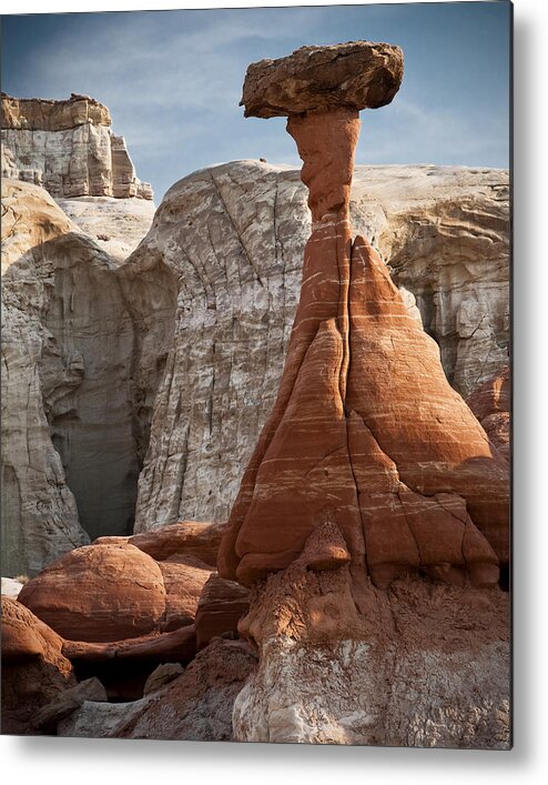 Desert Metal Print featuring the photograph You Do by Mike McMurray