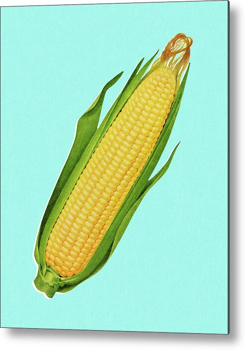 Blue Background Metal Poster featuring the drawing Cob of Corn #1 by CSA Images