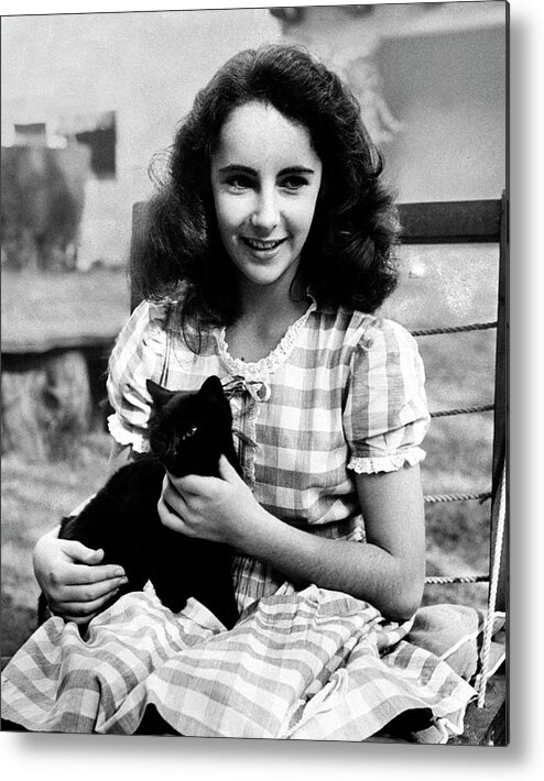 Black Metal Print featuring the photograph Elizabeth Taylor #1 by Peter Stackpole
