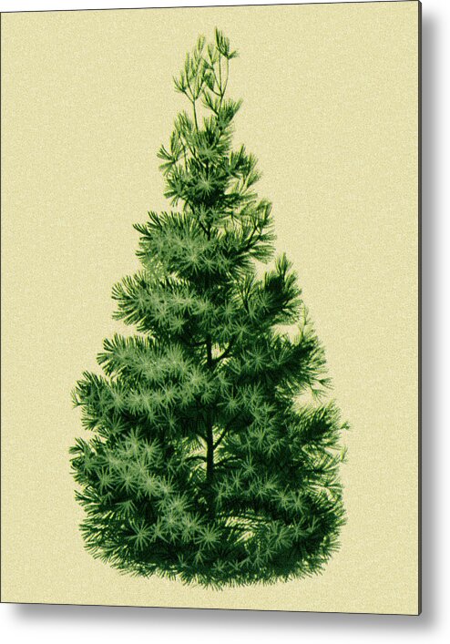 Campy Metal Print featuring the drawing Pine Tree #11 by CSA Images