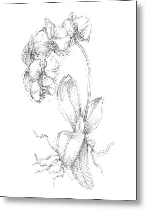 Botanical Metal Print featuring the painting Botanical Sketch V #2 by Ethan Harper