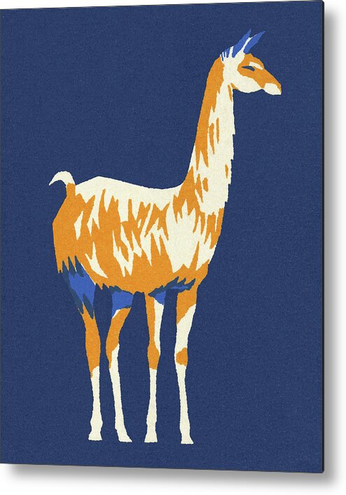 Alpaca Metal Poster featuring the drawing Llama #4 by CSA Images