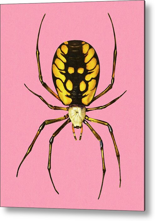Campy Metal Poster featuring the drawing Spider #8 by CSA Images