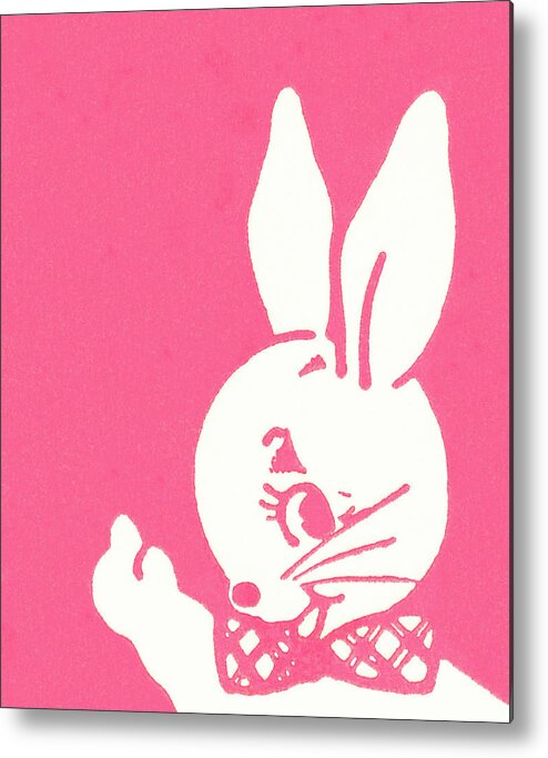 Accessories Metal Print featuring the drawing Rabbit #9 by CSA Images